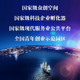 電子行業， 孵化器，加速器， 產業科技園區